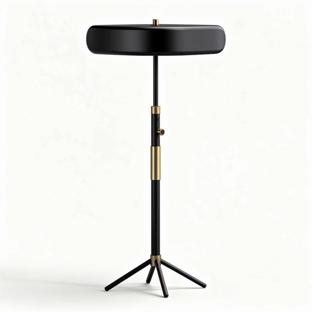 Modern black floor lamp with brass accents adjustable height 30 x 30 x 150cm